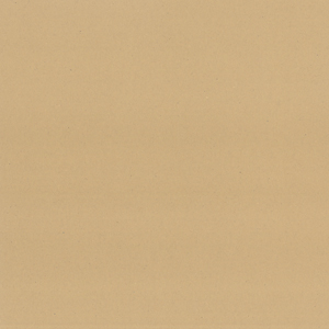 TAN 80